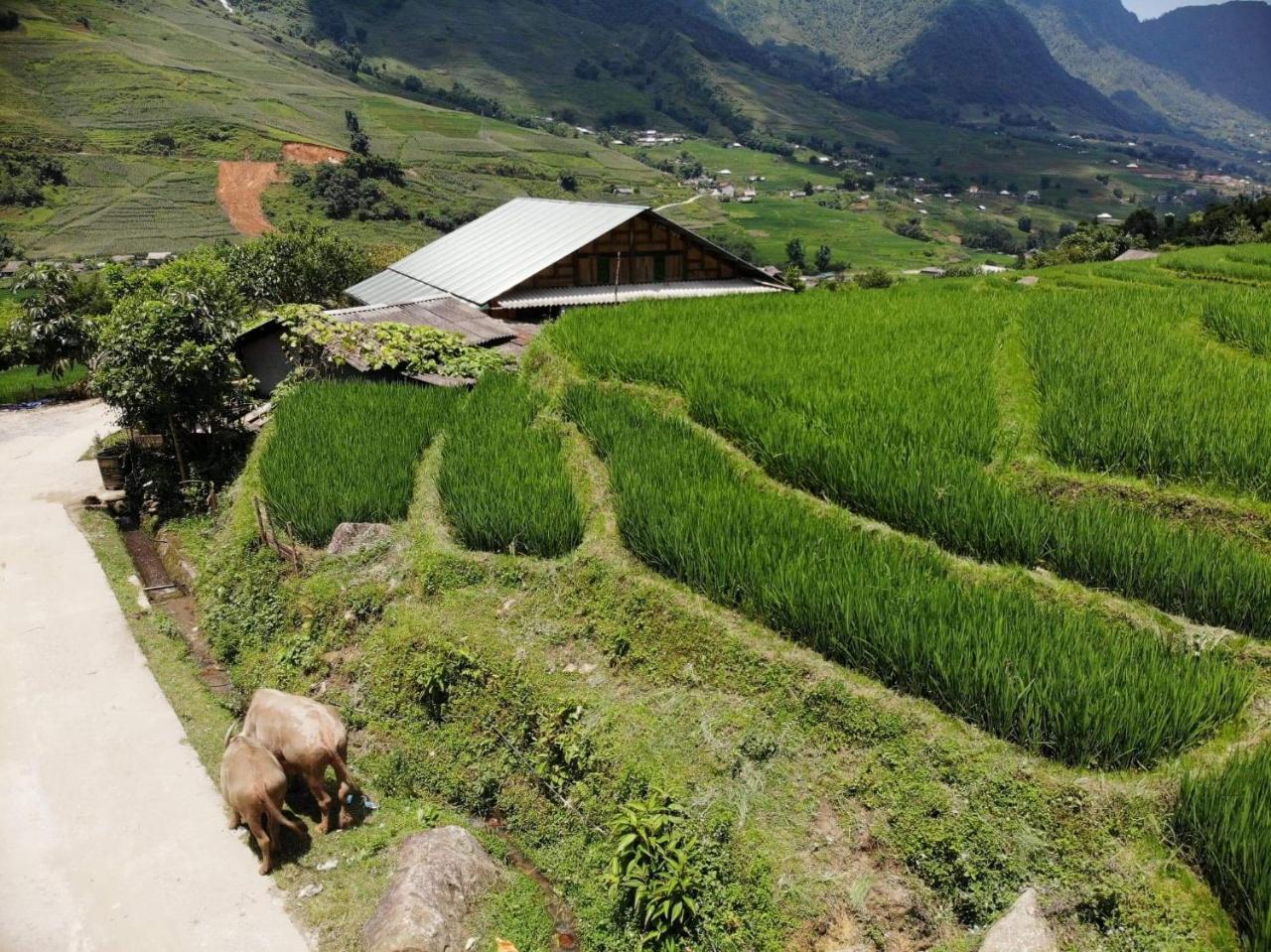 Ta Van Green Hills Homestay Sa Pa Exterior photo